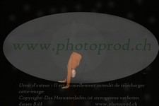 ref. photo 3172824