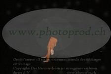 ref. photo 3172825
