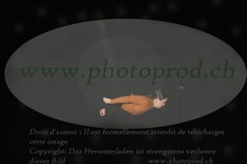 ref. photo 3172837