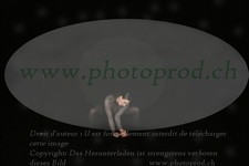 ref. photo 3173003