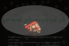 ref. photo 3173639