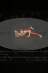 ref. photo 3173666
