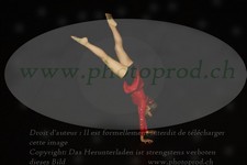 ref. photo 3173815