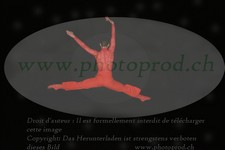 ref. photo 3173915