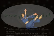 ref. photo 3174139