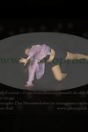 ref. photo 3174281