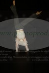 ref. photo 3174396