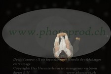 ref. photo 3174405