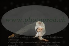 ref. photo 3174408