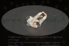 ref. photo 3174446