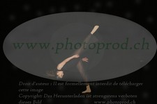 ref. photo 3174617