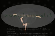 ref. photo 3174621