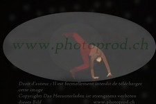 ref. photo 3174818