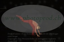 ref. photo 3174828