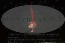 ref. photo 3174831