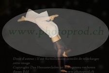 ref. photo 3174952