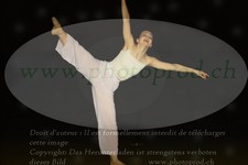 ref. photo 3175034