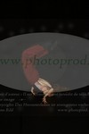 ref. photo 3175077