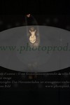 ref. photo 3175266