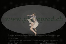 ref. photo 3175366
