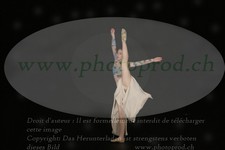 ref. photo 3175376