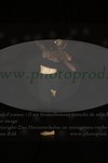ref. photo 3175464