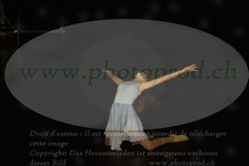 ref. photo 3175539