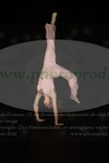 ref. photo 3175984