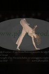 ref. photo 3176018