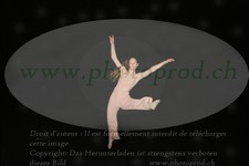 ref. photo 3176044