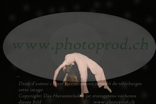 ref. photo 3176046