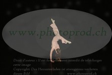 ref. photo 3176047
