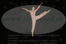 ref. photo 3176048