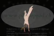 ref. photo 3176056