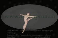 ref. photo 3176057