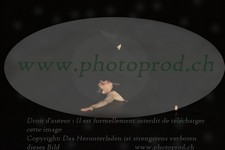 ref. photo 3176105