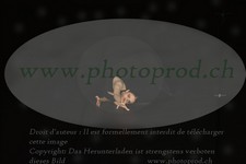 ref. photo 3176109