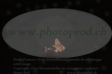 ref. photo 3176147