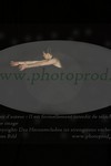 ref. photo 3176155