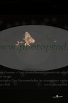 ref. photo 3176174