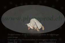 ref. photo 3176284