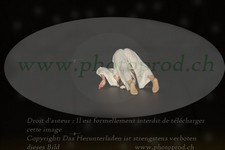 ref. photo 3176370