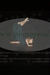 ref. photo 3176605