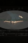 ref. photo 3176615