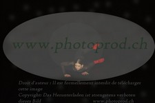 ref. photo 3176685
