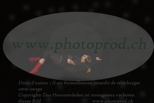 ref. photo 3176689