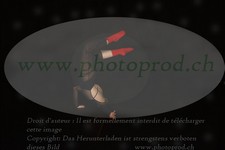 ref. photo 3176726