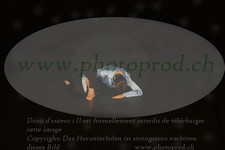 ref. photo 3176765