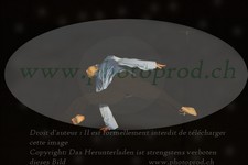 ref. photo 3176788