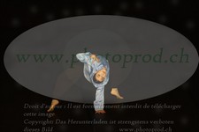 ref. photo 3176792